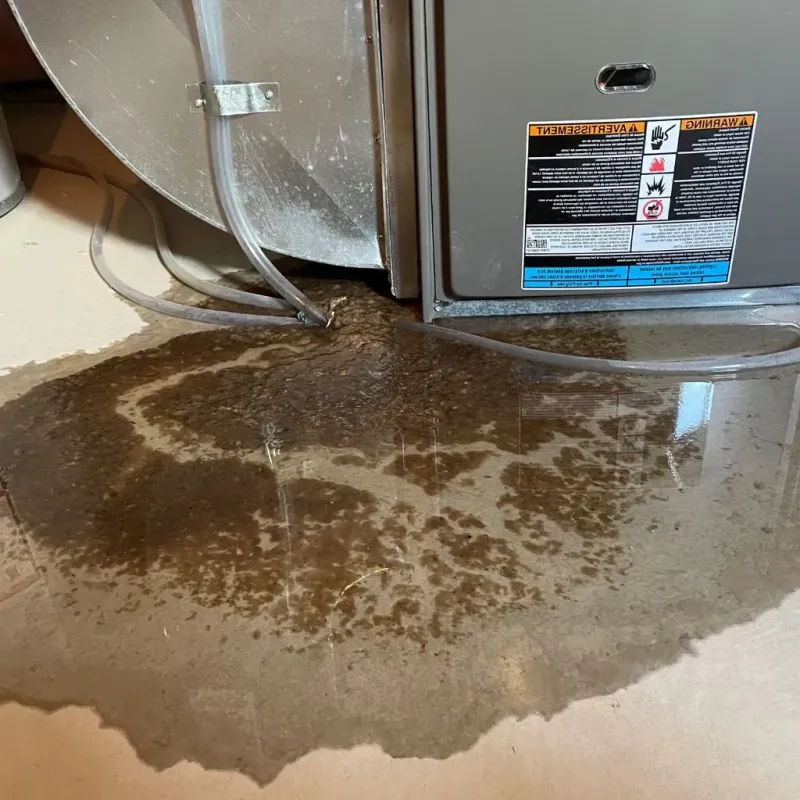 Pipe Burst and Leak Restoration in Lancaster Mill, SC